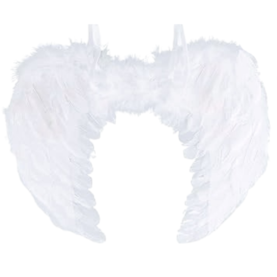 ALAS DE ANGEL