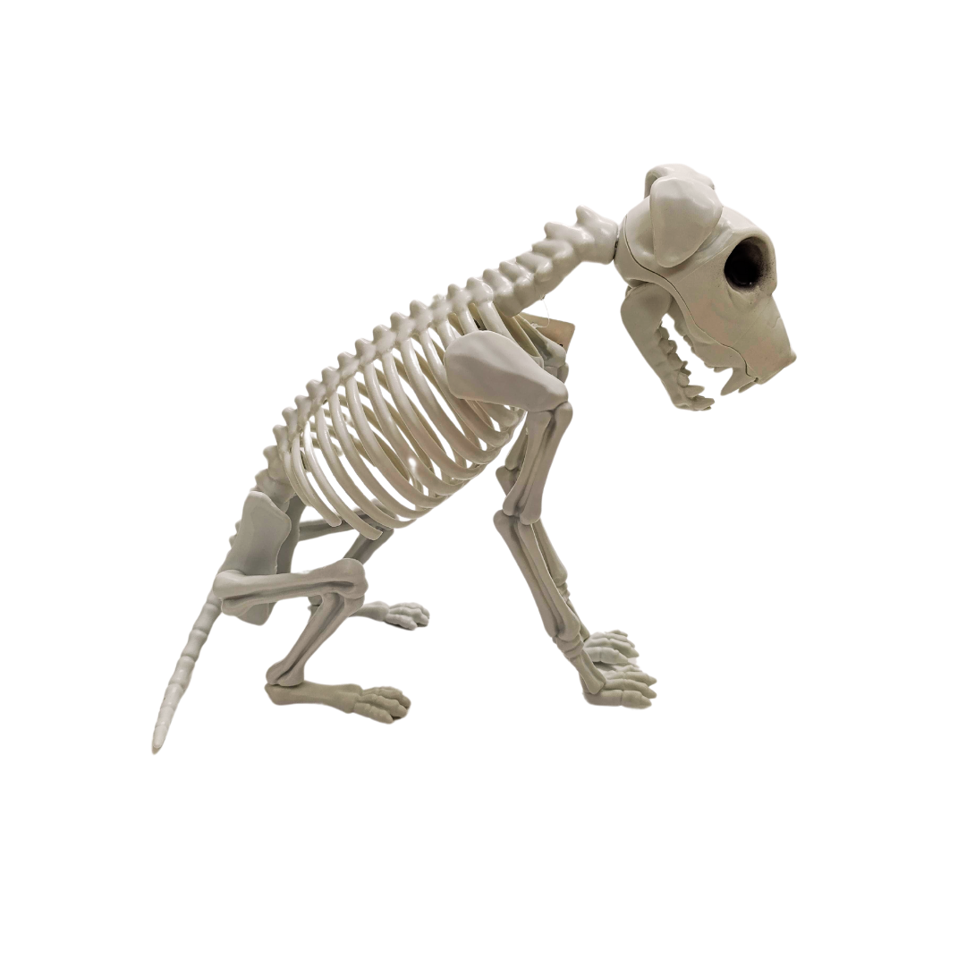 ESQUELETO DE PERRO