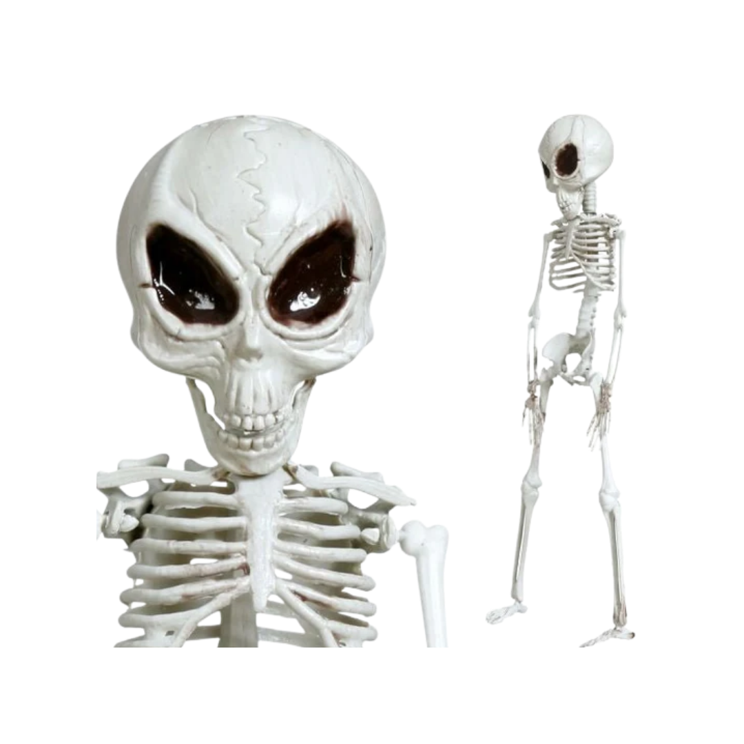 ESQUELETO ALIENIGENA ARTICULADO