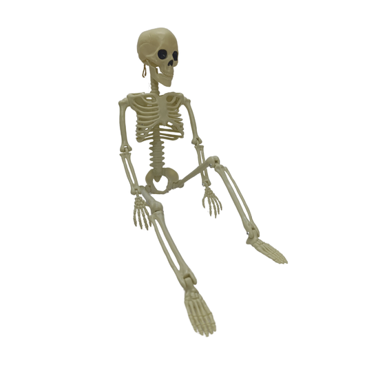 ESQUELETO