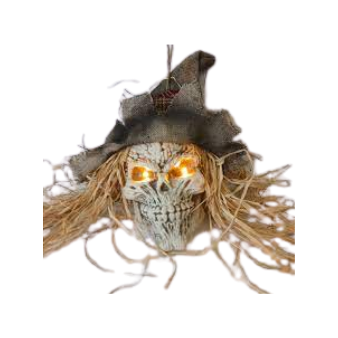 ESPANTAPAJAROS COLGANTE CON MECANISMO