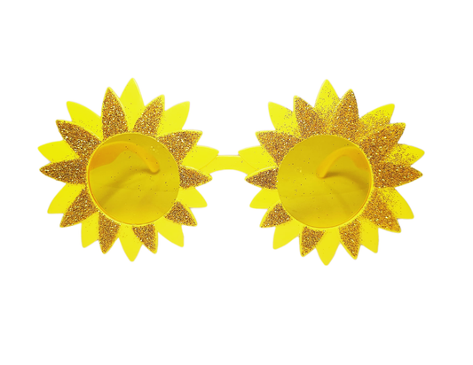 GAFAS GIRASOLES