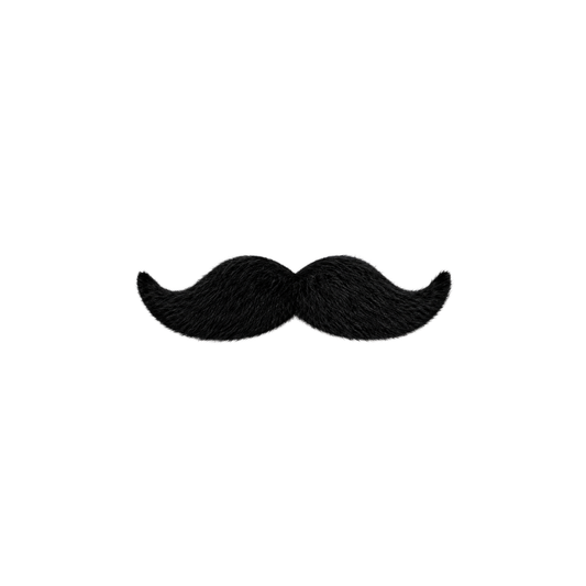 BIGOTES SURTIDOS