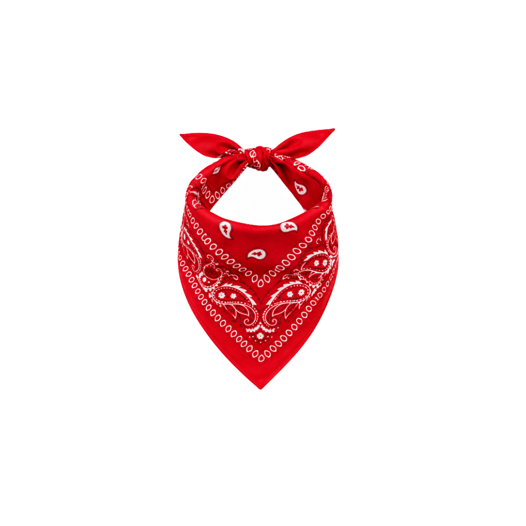 PAÑOLETA CON DISEÑO