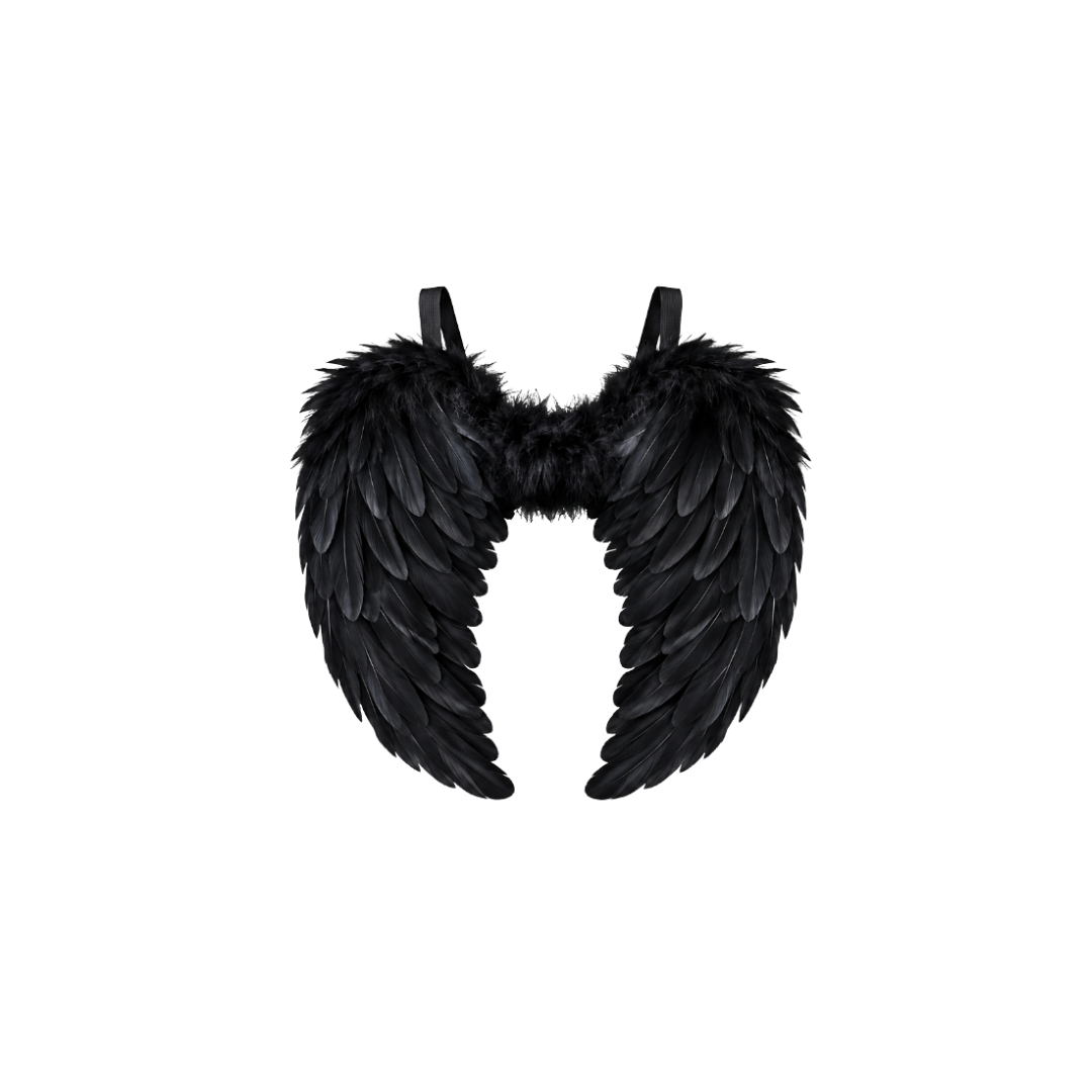 ALAS DE ANGEL GRANDES