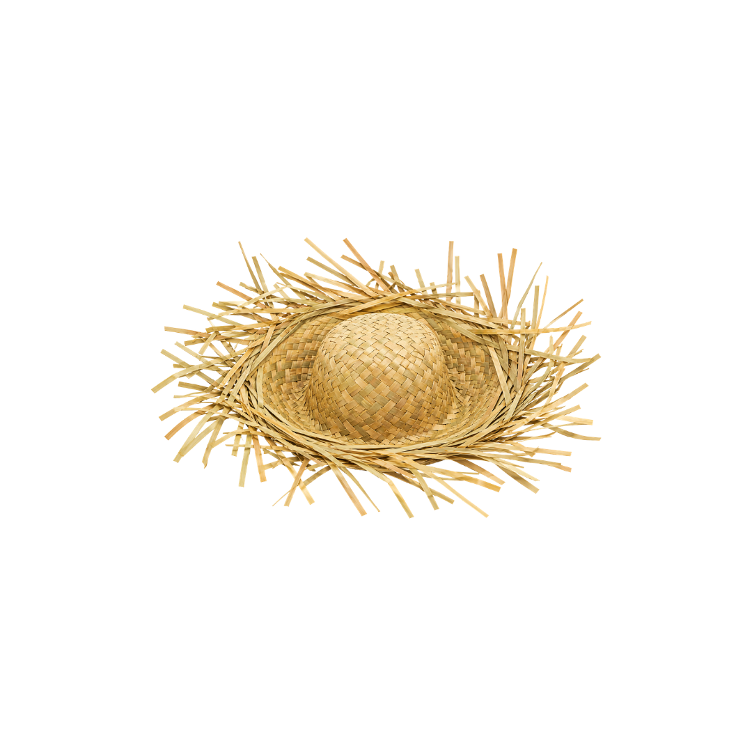 SOMBRERO ESPANTAPAJAROS