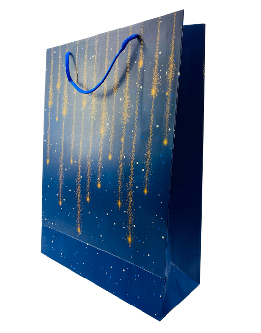 BOLSA DE REGALO GRANDE 10