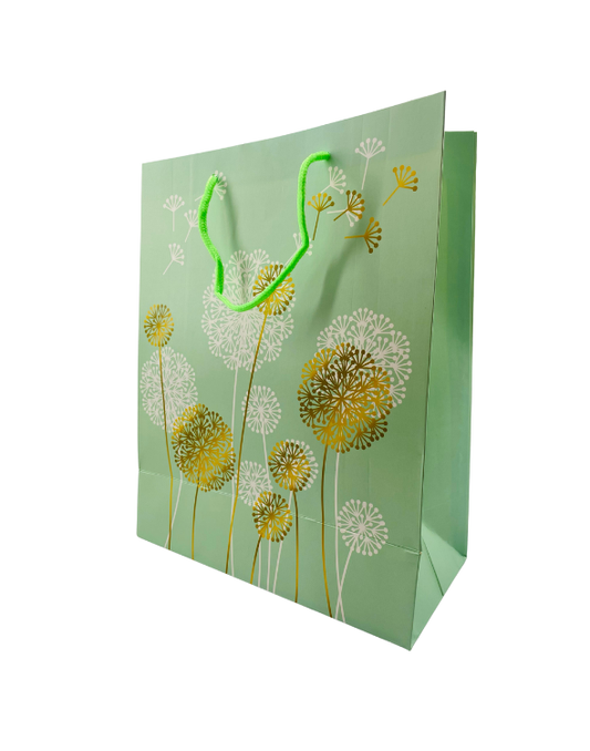 BOLSA DE REGALO MEDIANA 6