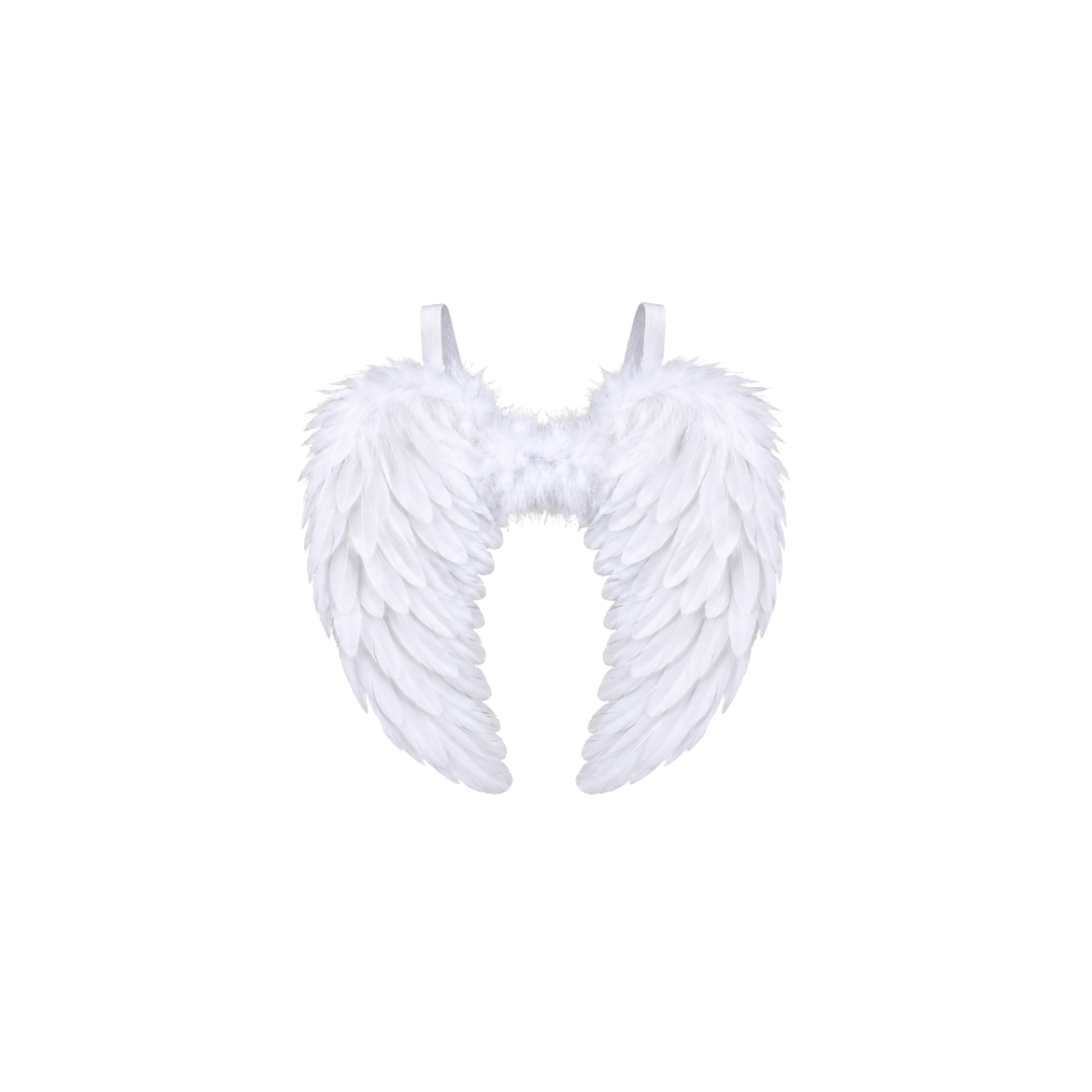 ALAS DE ANGEL GRANDES