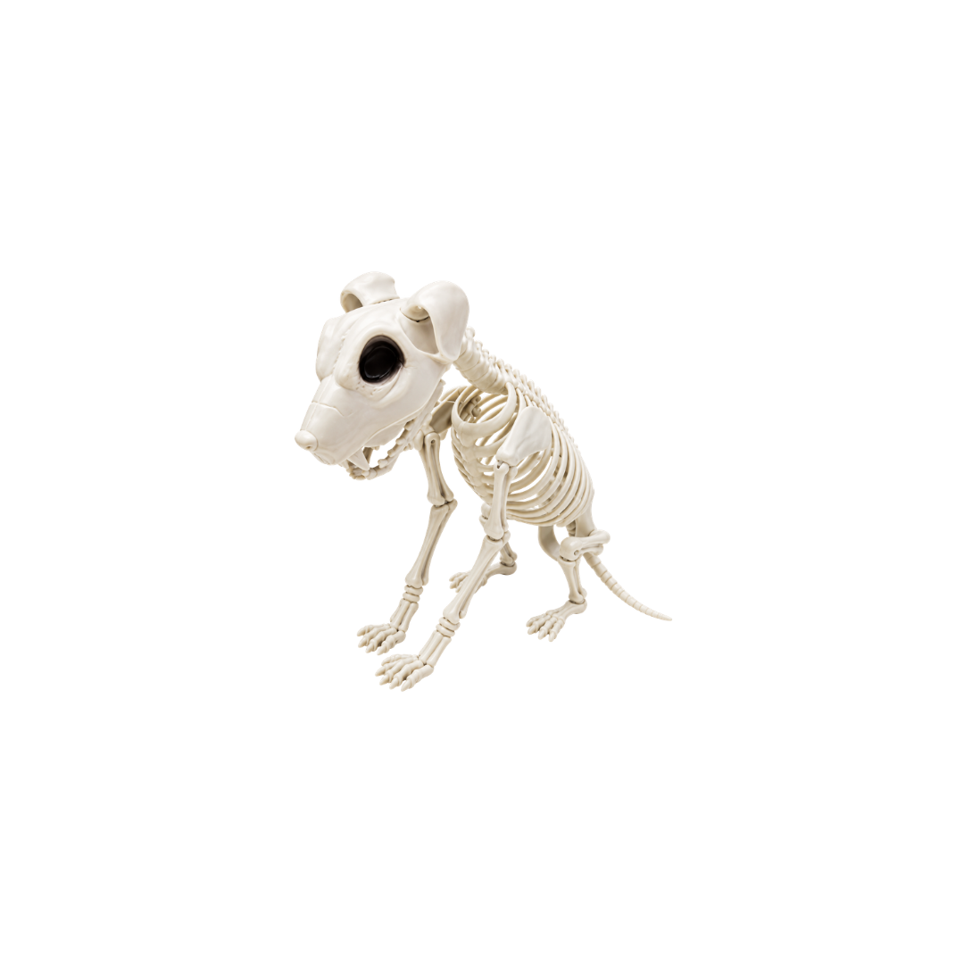 ESQUELETO DE PERRO