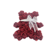 PICS EN FOAMY OSO ROSAS