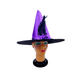 SOMBRERO BRUJA VIOLETA
